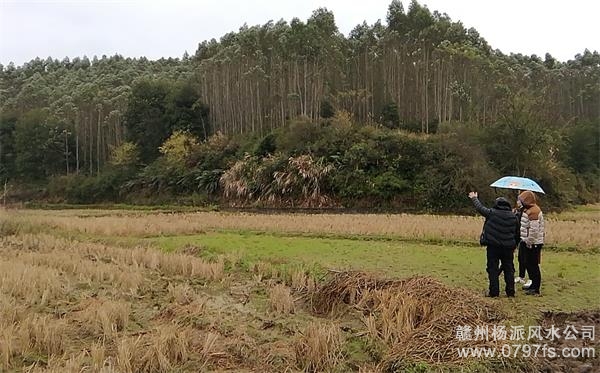 张掖市陈老师带着爱徒寻龙点穴